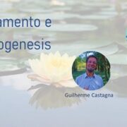 LivMundi – Saneamento e Salutogenesis